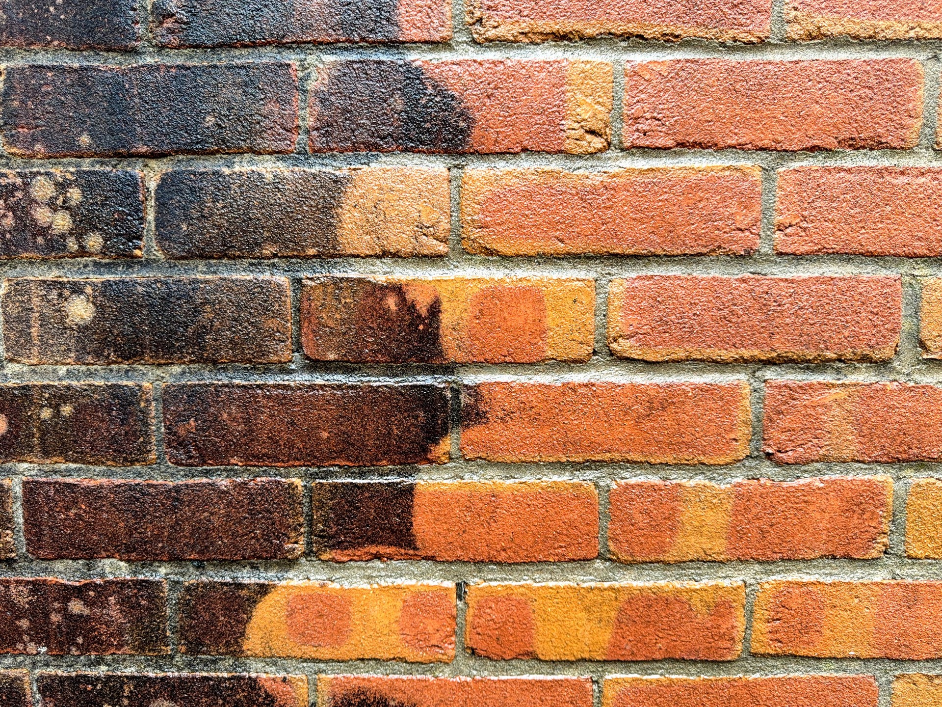 Clean and dirty bricks on a wall after being cleaned by high pressure cleaning equipment